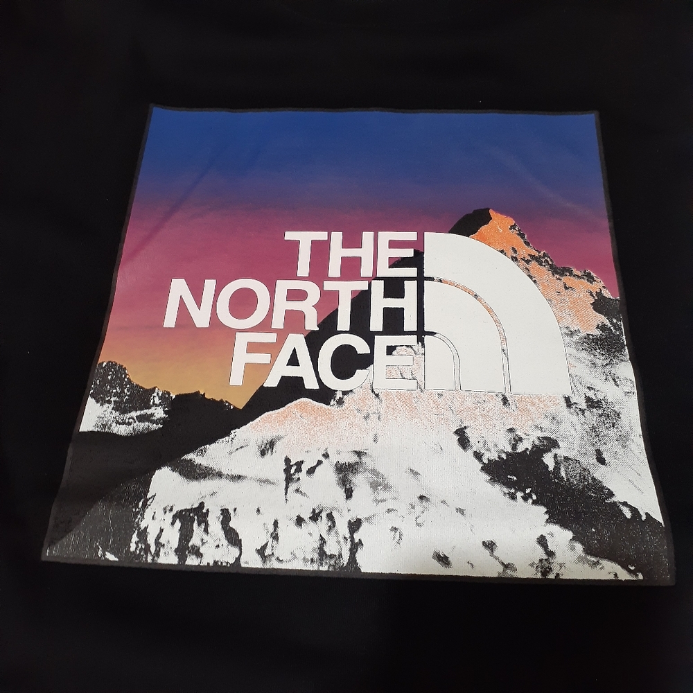 Exclusive north face tee
